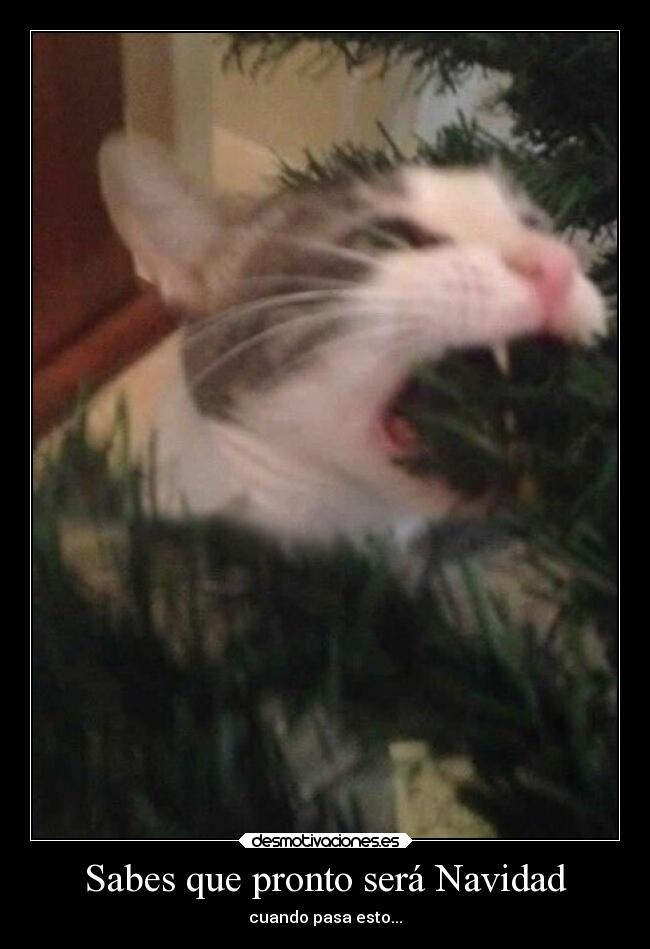 Sabes que pronto será Navidad - cuando pasa esto...