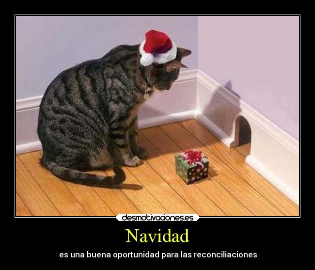 carteles navidad motivaciones graciosas gatos felicidad esperanza corazon animales amor amistad amigos alegria desmotivaciones