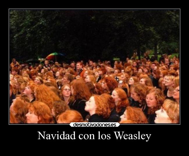 carteles navidad sociedad harry popoter desmotivaciones