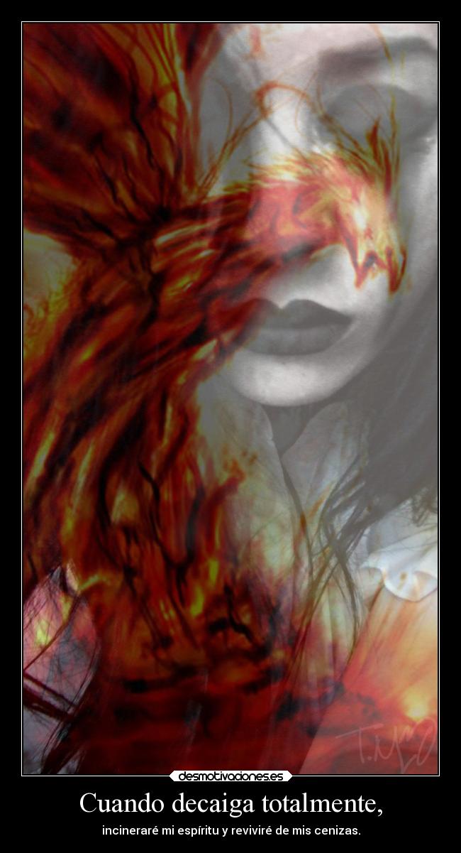 Cuando decaiga totalmente, - incineraré mi espíritu y reviviré de mis cenizas.