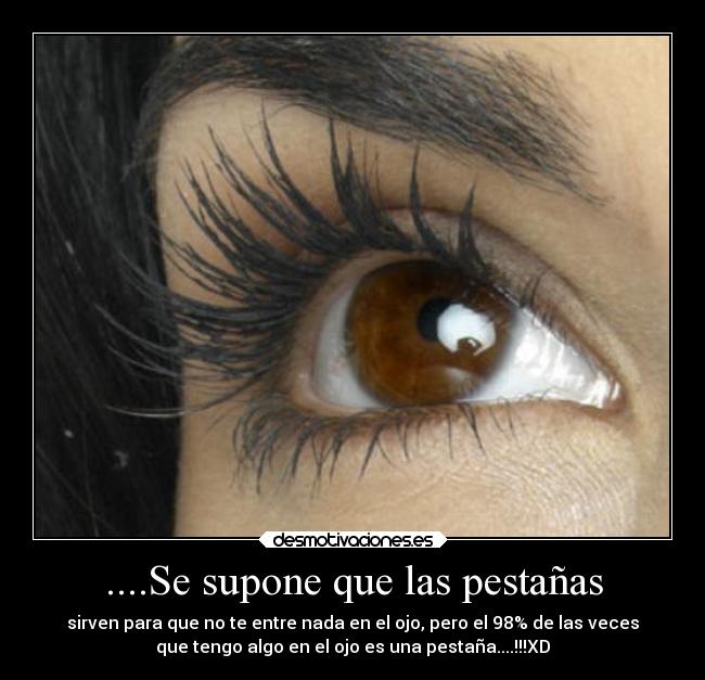 ....Se supone que las pestañas - sirven para que no te entre nada en el ojo, pero el 98% de las veces
que tengo algo en el ojo es una pestaña....!!!XD