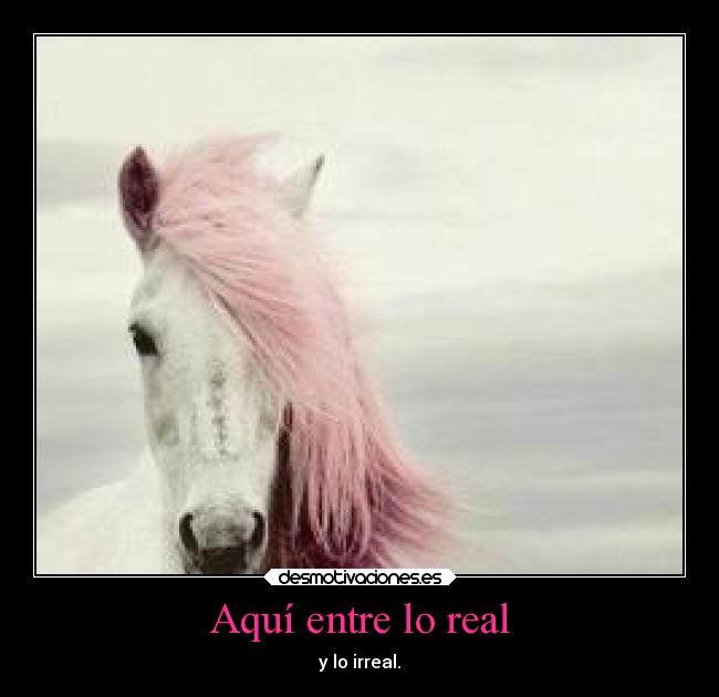 Aquí entre lo real - 