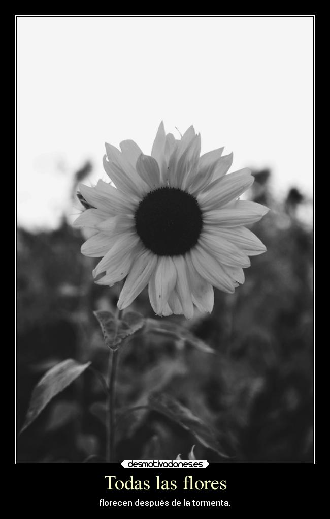 carteles problemas vida desmotivaciones