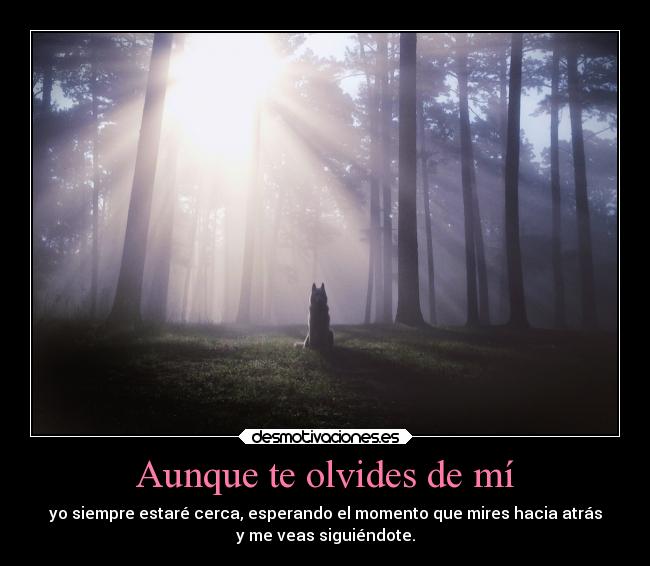 Aunque te olvides de mí - 