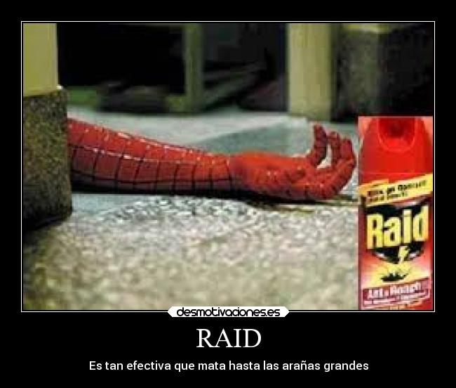 RAID - 