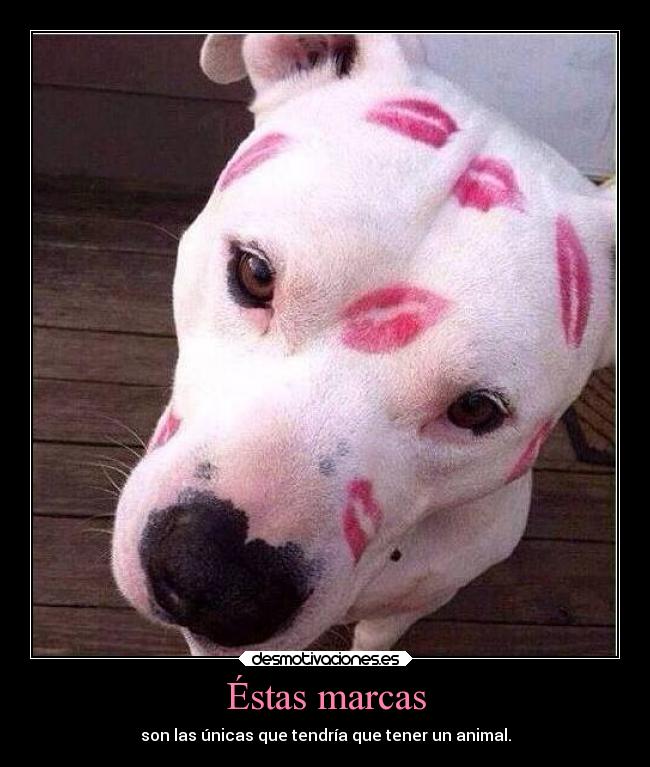 Éstas marcas - 