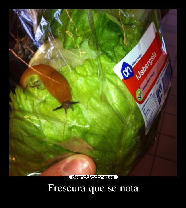 Frescura que se nota - 