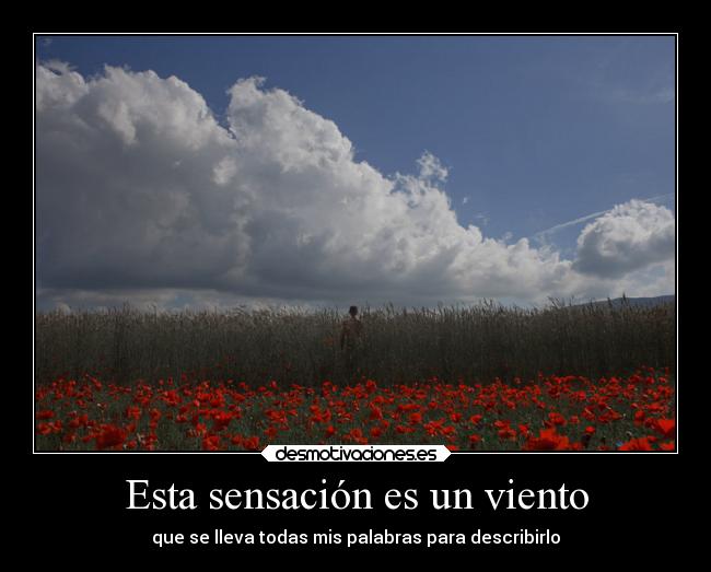 Esta sensación es un viento - que se lleva todas mis palabras para describirlo