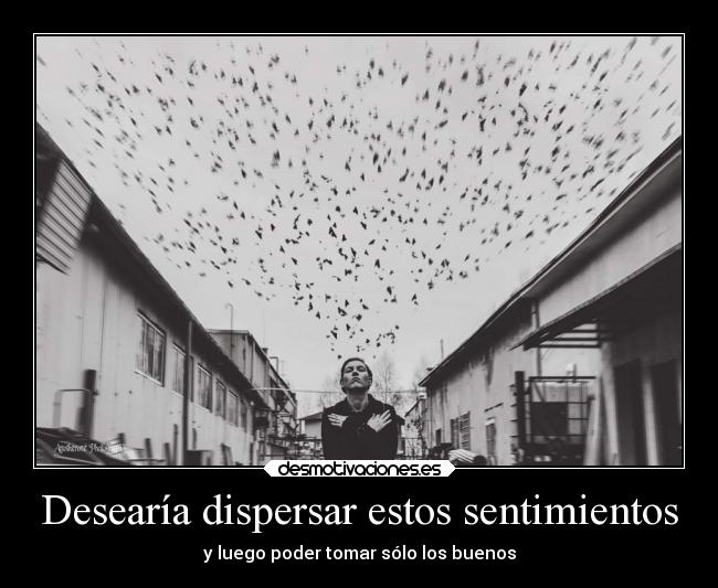 Desearía dispersar estos sentimientos -