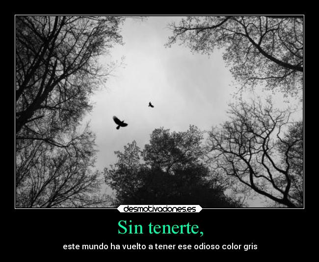 carteles sentimientos gris sinti desmotivaciones