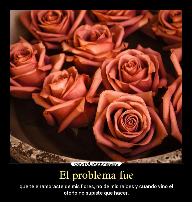 carteles sentimientos pensamientos flores designo desmotivaciones