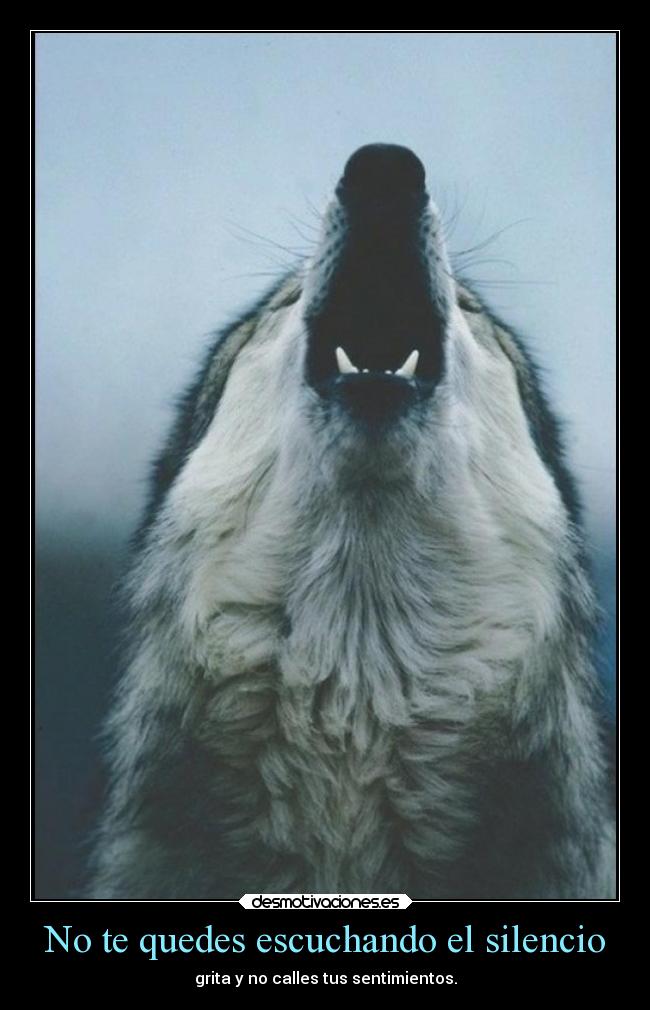 No te quedes escuchando el silencio -