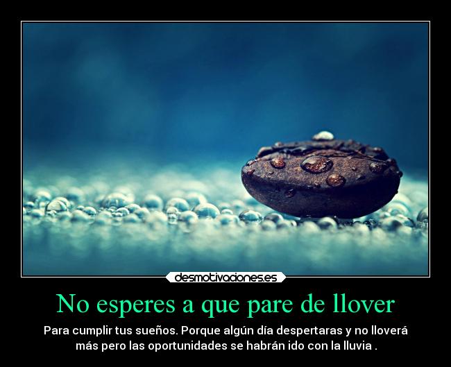 No esperes a que pare de llover - 