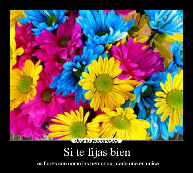 Si te fijas bien - Las flores son como las personas , cada una es única