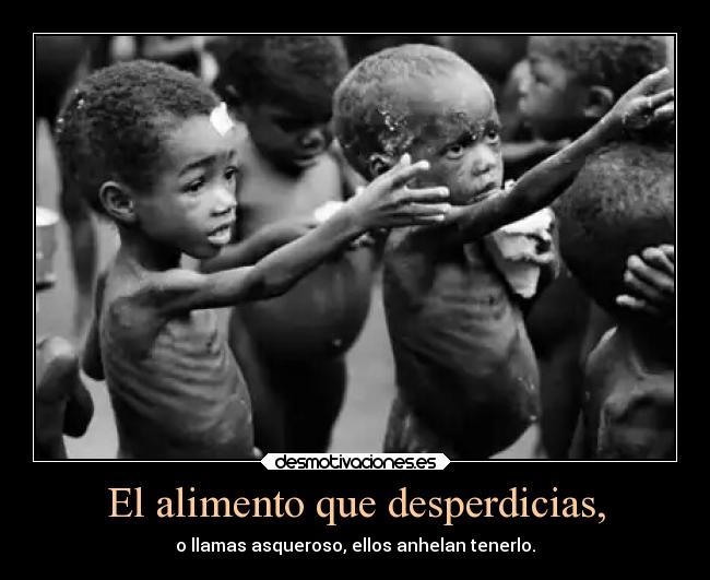 carteles sociedad desmotivaciones hambre desmotivaciones
