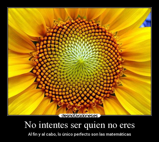 No intentes ser quien no eres - Al fin y al cabo, lo único perfecto son las matemáticas