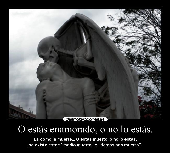 O estás enamorado, o no lo estás. - Es como la muerte... O estás muerto, o no lo estás,
no existe estar: medio muerto o demasiado muerto.