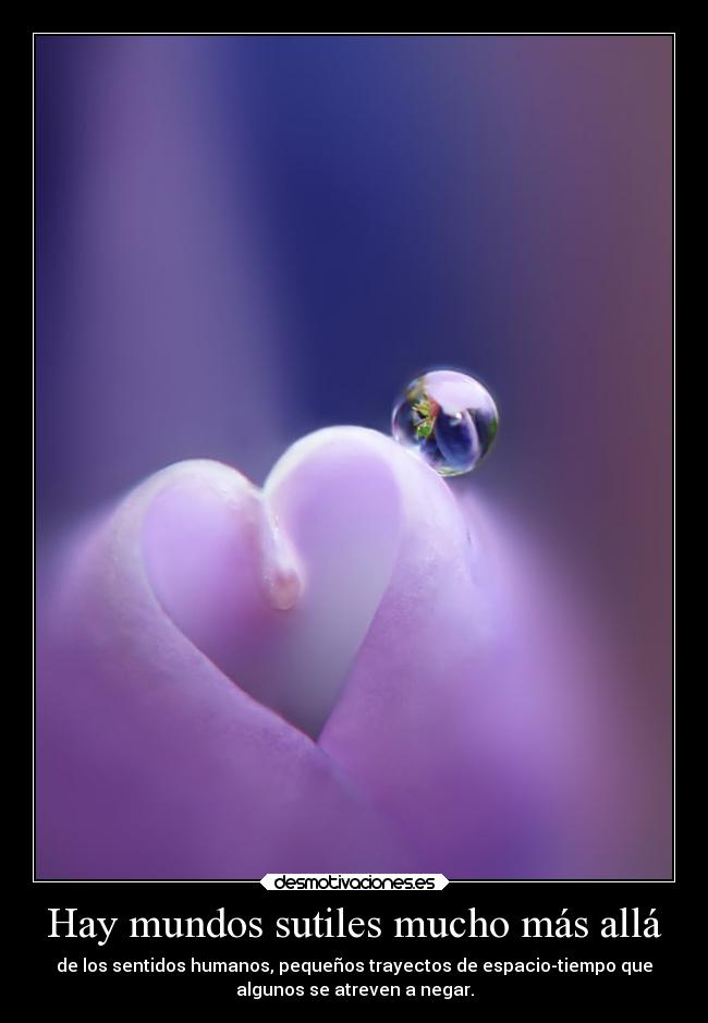 Hay mundos sutiles mucho más allá - 