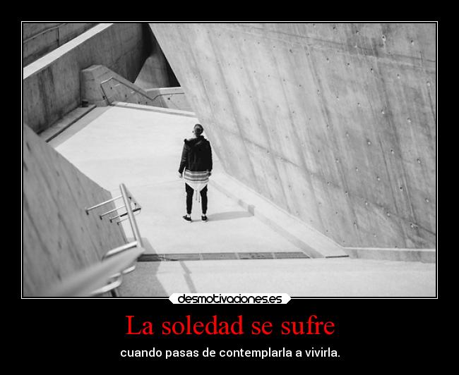 La soledad se sufre - 
