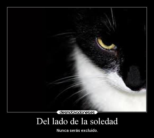 Del lado de la soledad - Nunca serás excluido.