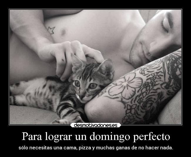 Para lograr un domingo perfecto -