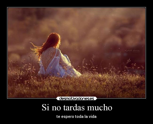 Si no tardas mucho -