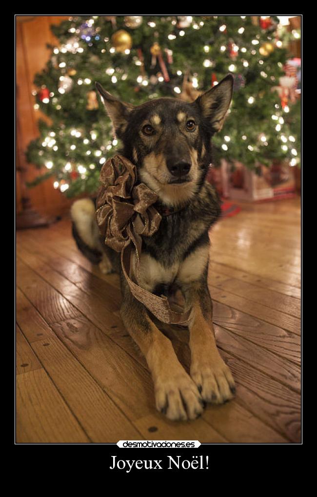 Joyeux Noël! -