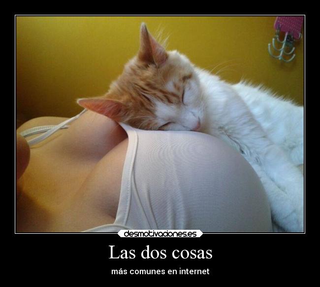 Las dos cosas - 