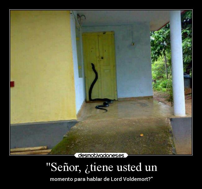 Señor, ¿tiene usted un - 