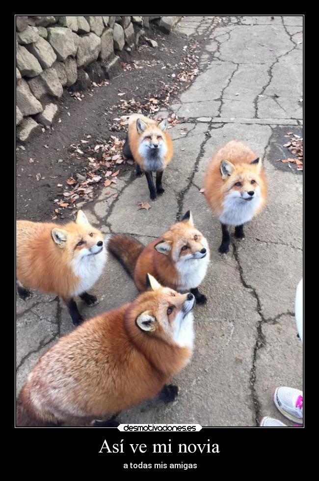 Así ve mi novia - a todas mis amigas