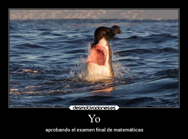 Yo - aprobando el examen final de matemáticas