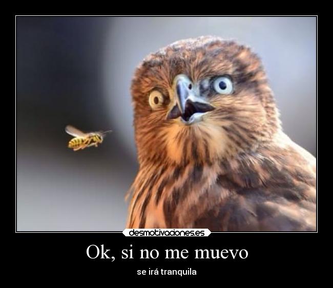 Ok, si no me muevo - se irá tranquila