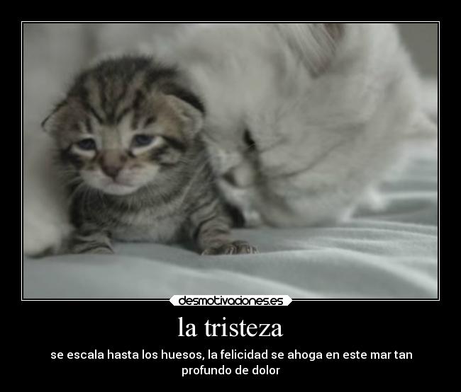 la tristeza - 