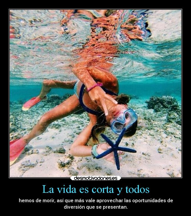 carteles vida alegria diversion dean koontz desmotivaciones