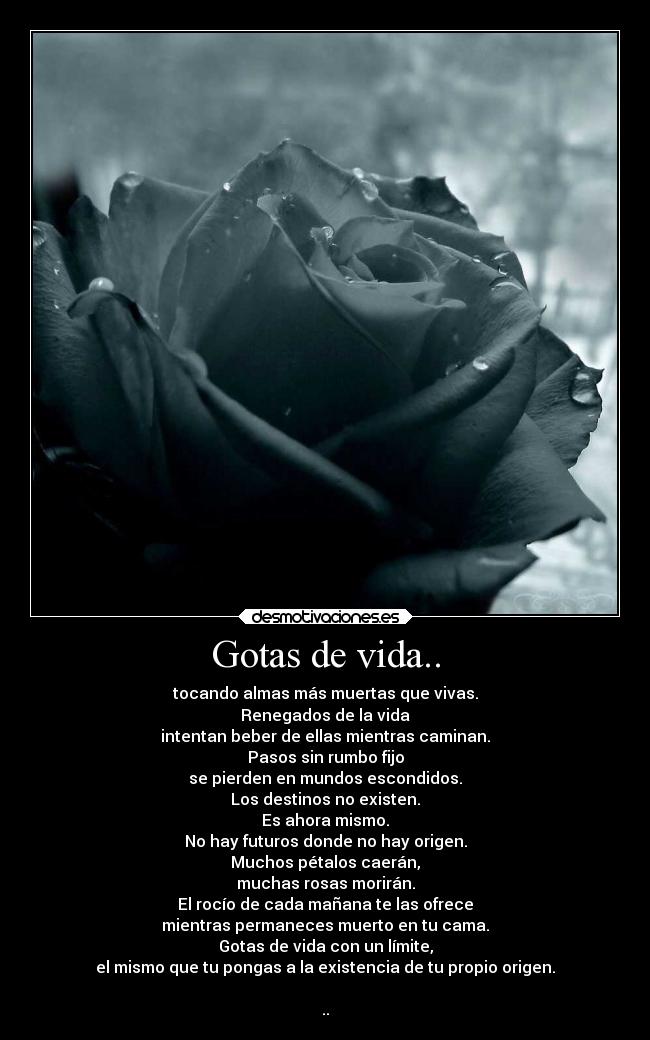 Gotas de vida.. -