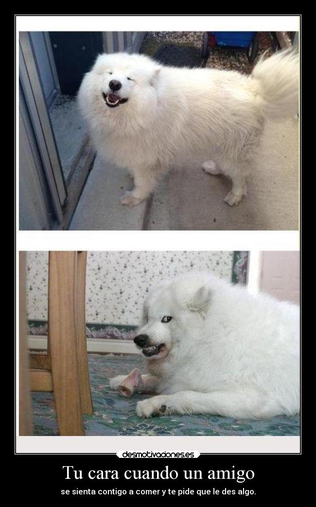 Tu cara cuando un amigo - se sienta contigo a comer y te pide que le des algo.