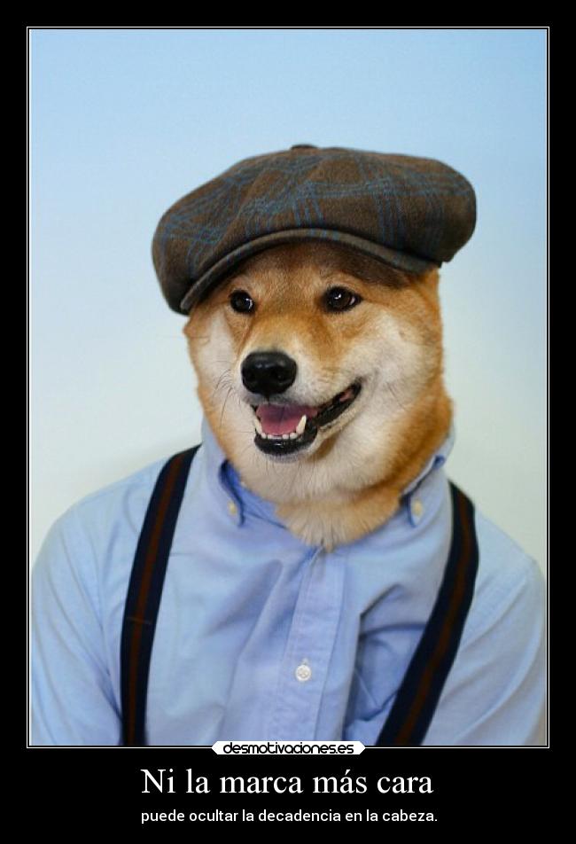 Ni la marca más cara - puede ocultar la decadencia en la cabeza.