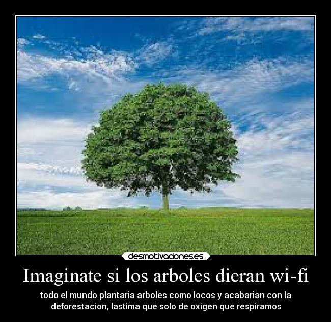 carteles vida arbol wifi oxigeno verdad desmotivaciones