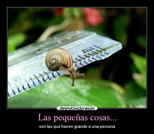 Las pequeñas cosas... -