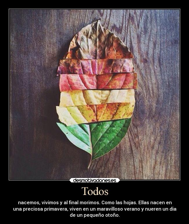 carteles vida cosiita hojas laextranavidadetimothygreen sosexy alispossible desmotivaciones