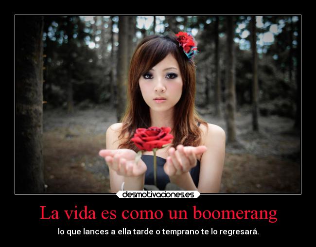 La vida es como un boomerang - 