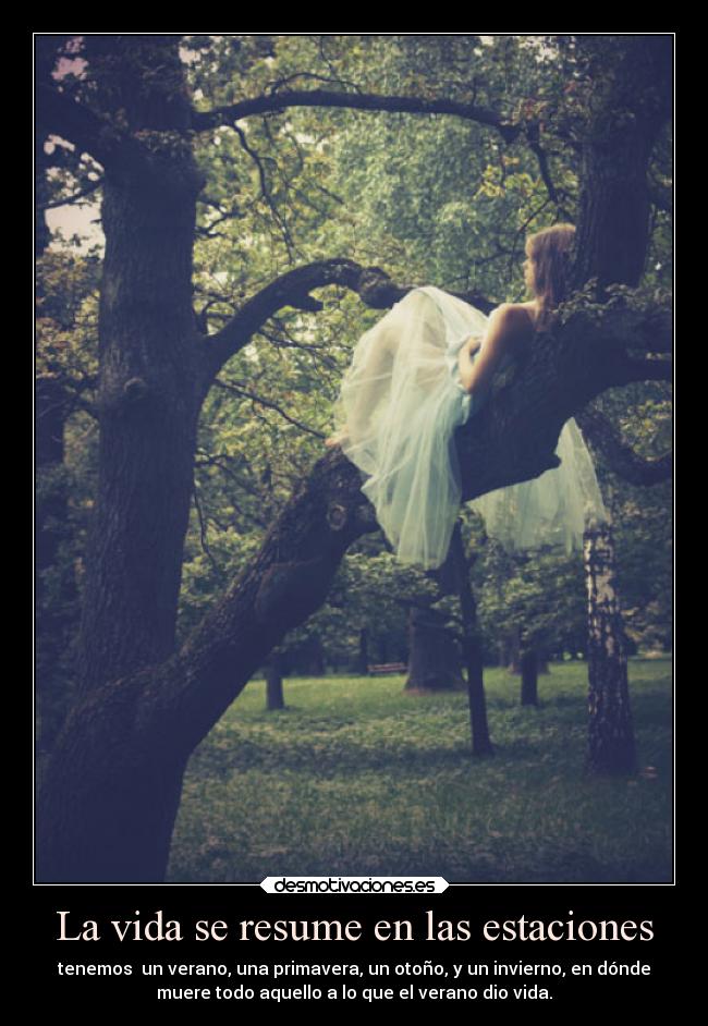 carteles vida vida desmotivaciones