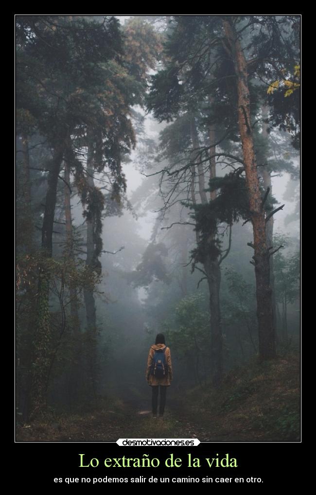 Lo extraño de la vida -