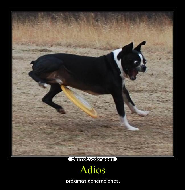 Adios - próximas generaciones.