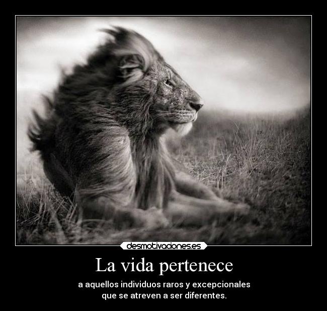 La vida pertenece -