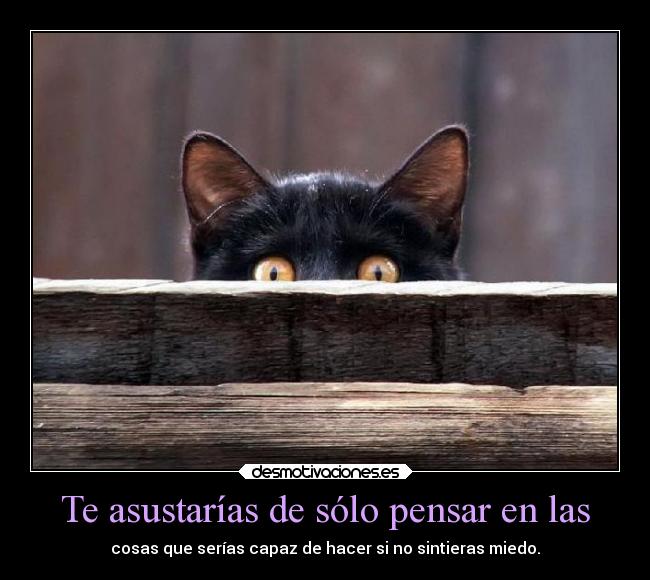 Te asustarías de sólo pensar en las -