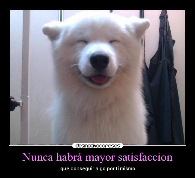 carteles vida desmotivaciones