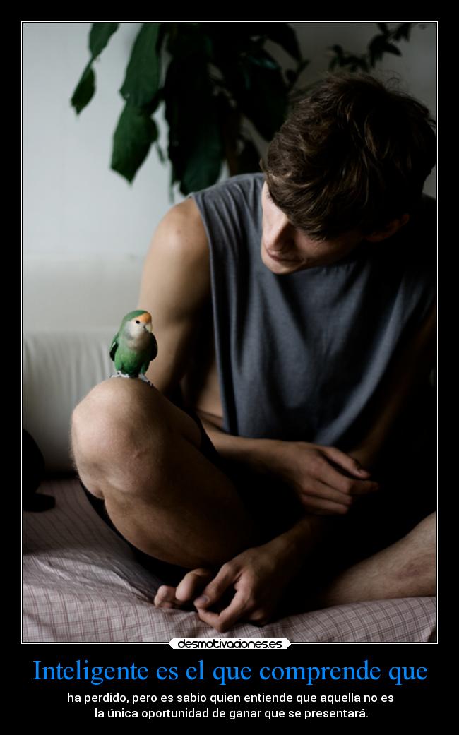 carteles vida desmotivaciones clandesplazado desmotivaciones