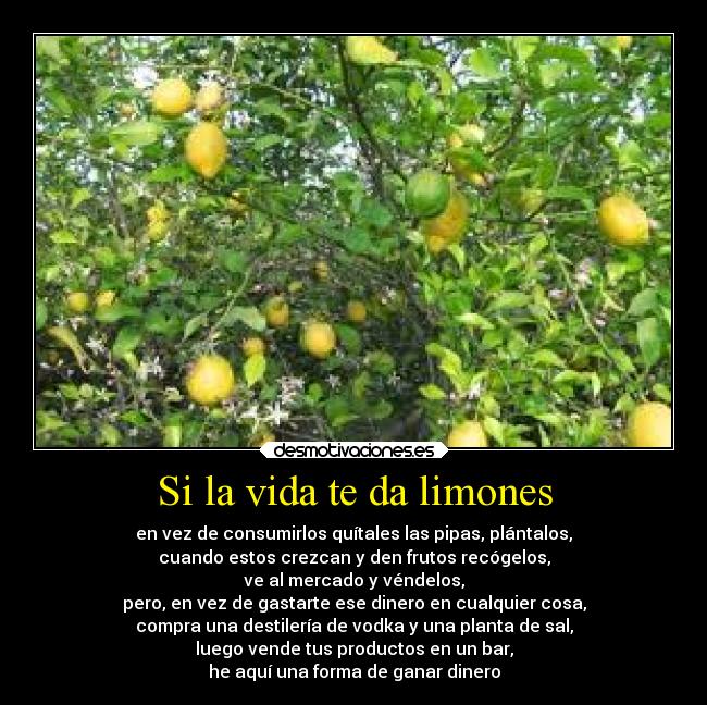 Si la vida te da limones - en vez de consumirlos quítales las pipas, plántalos,
cuando estos crezcan y den frutos recógelos,
ve al mercado y véndelos,
pero, en vez de gastarte ese dinero en cualquier cosa,
compra una destilería de vodka y una planta de sal,
luego vende tus productos en un bar,
he aquí una forma de ganar dinero
