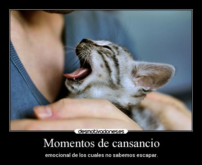 Momentos de cansancio - 